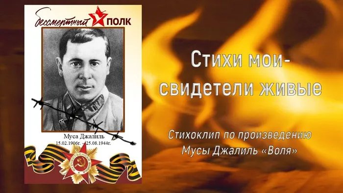 обложка Воля